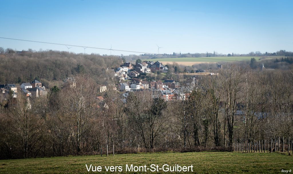 Vue vers Mont St Guibert