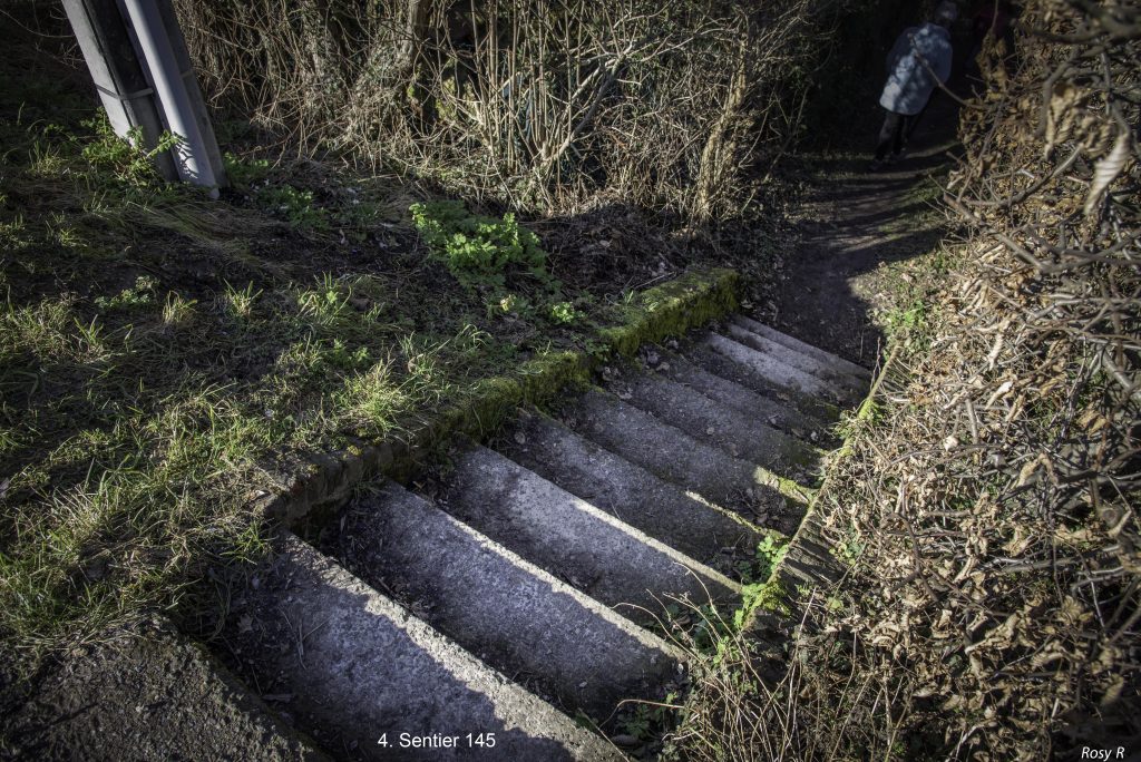Sentier 145