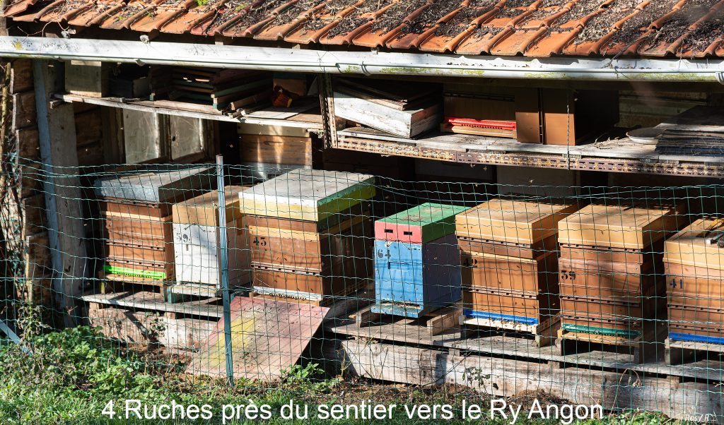 Ruches