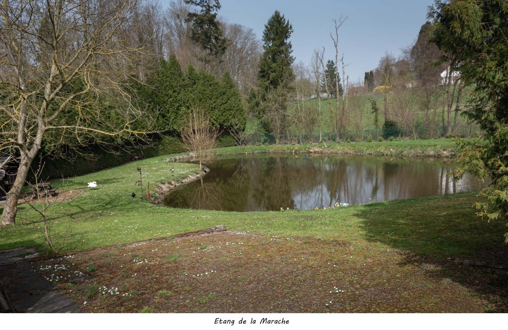 Etang de la Marache